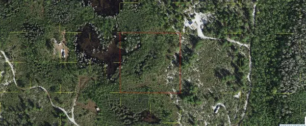 HOLOPAW GROVES RD, St Cloud, FL 34773
