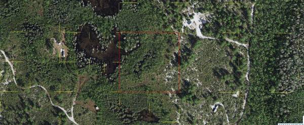 HOLOPAW GROVES RD, St Cloud, FL 34773