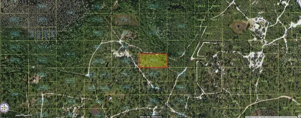 HOLOPAW GROVES RD, St Cloud, FL 34773