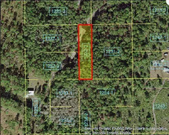 HOLOPAW GROVES RD, St Cloud, FL 34773