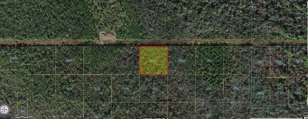 ROBIN TRL, Kissimmee, FL 34747
