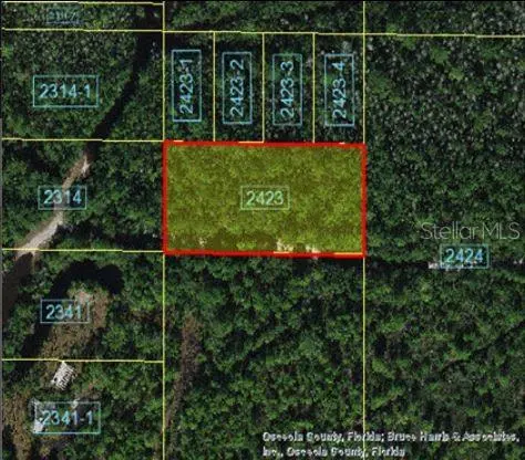 HOLOPAW GROVES RD, St Cloud, FL 34773