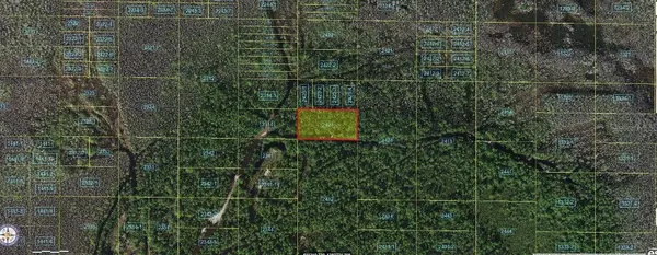 HOLOPAW GROVES RD, St Cloud, FL 34773