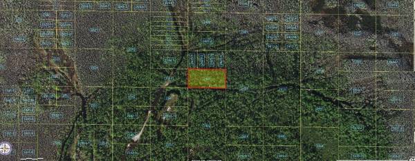 HOLOPAW GROVES RD, St Cloud, FL 34773