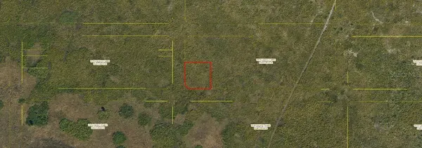 PALMETTO AVE, Kenansville, FL 34739