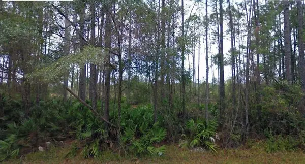 NE 65TH AVE, Citra, FL 32113