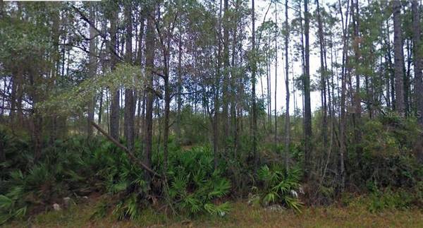 NE 65TH AVE, Citra, FL 32113