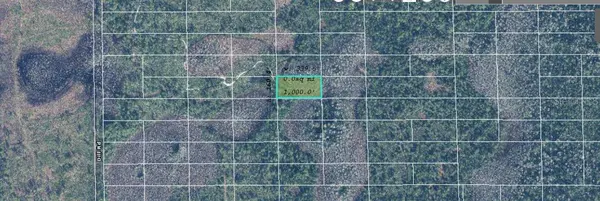 DILL RD, Orlando, FL 32820