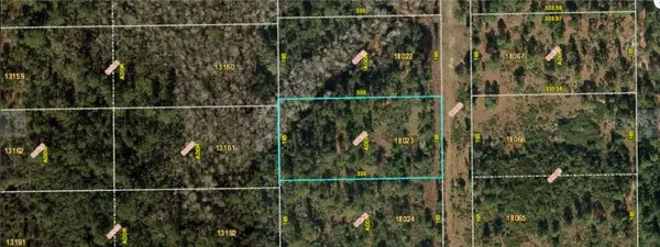 FORT CHRISTMAS RD, Orlando, FL 32820