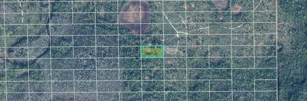 DILL RD, Orlando, FL 32820
