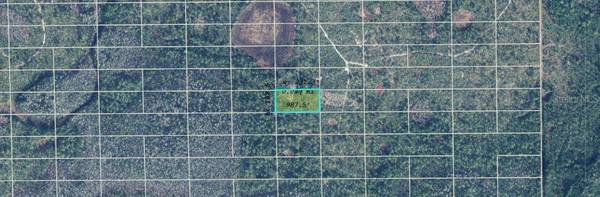DILL RD, Orlando, FL 32820