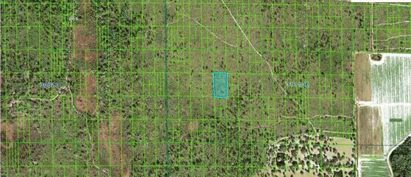 Lake Wales, FL 33898