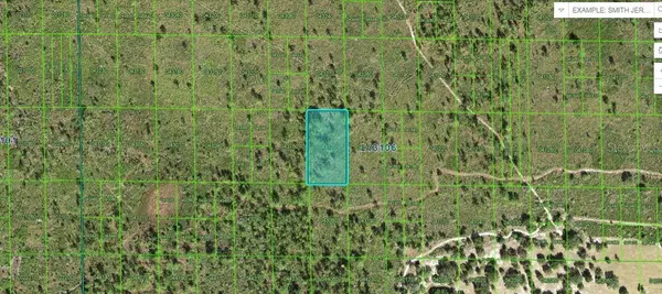 Lake Wales, FL 33898