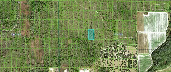 Lake Wales, FL 33898