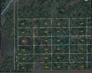 DILL RD, Orlando, FL 32820