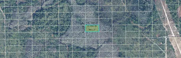 DILL RD, Orlando, FL 32820