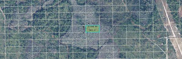DILL RD, Orlando, FL 32820