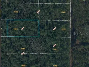 DILL RD, Orlando, FL 32820