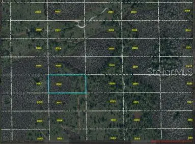 DILL RD, Orlando, FL 32820
