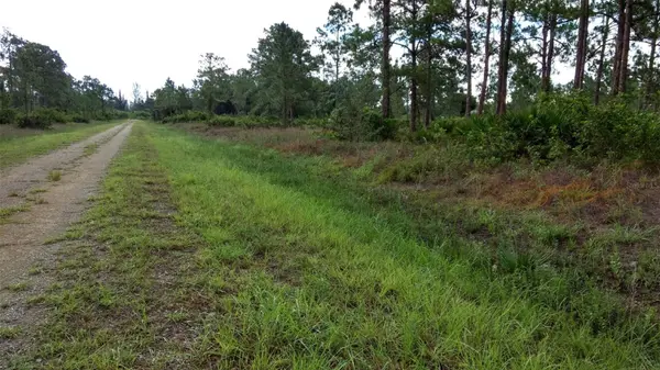 1508 WASHINGTON AVE, Lehigh Acres, FL 33972