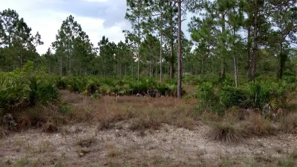 1508 WASHINGTON AVE, Lehigh Acres, FL 33972