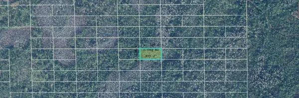 DILL RD, Orlando, FL 32820