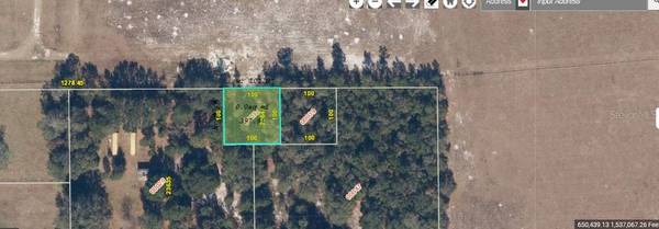 1349 N FORT CHRISTMAS RD, Christmas, FL 32709