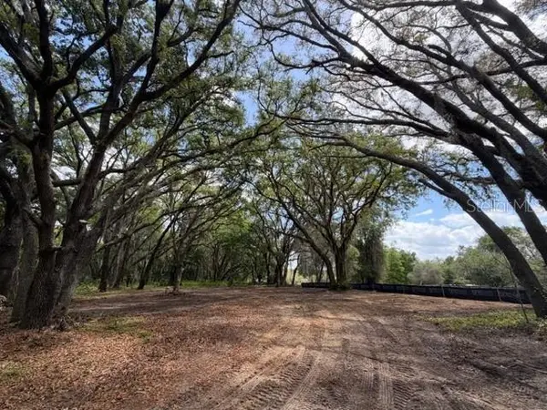 17144 PHIL C PETERS RD, Winter Garden, FL 34787