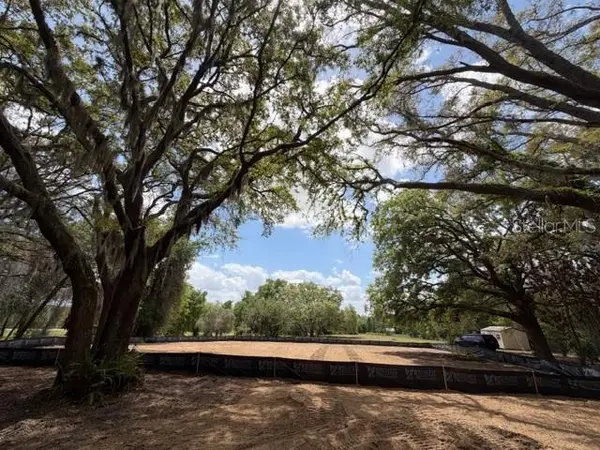 17144 PHIL C PETERS RD, Winter Garden, FL 34787