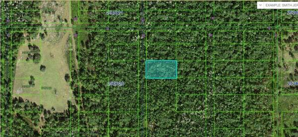 COMMONWEALTH AVE N, Polk City, FL 33868