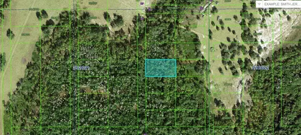 COMMONWEALTH AVE N AVE N, Polk City, FL 33868