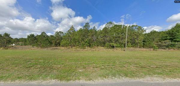 COMMONWEALTH AVE N AVE N, Polk City, FL 33868