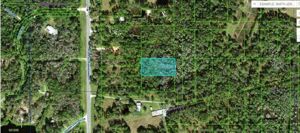 COMMONWEALTH AVE N, Polk City, FL 33868