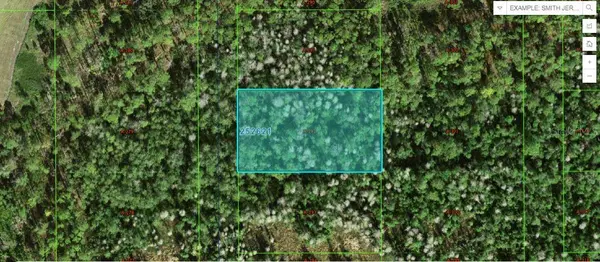 COMMANWEALTH AVE N, Polk City, FL 33868