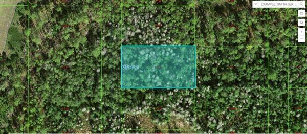 COMMANWEALTH AVE N, Polk City, FL 33868