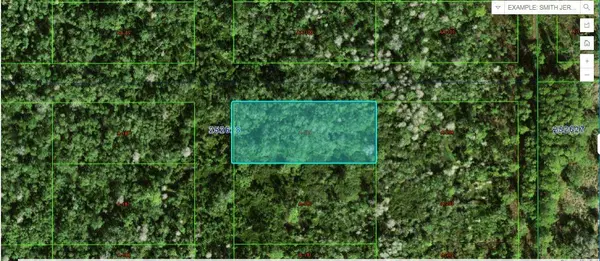 COMMONWEALTH AVE N, Polk City, FL 33868
