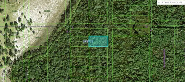 COMMONWEALTH AVE N, Polk City, FL 33868