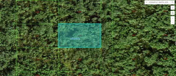 COMMONWEALLTH AVE N, Polk City, FL 33868