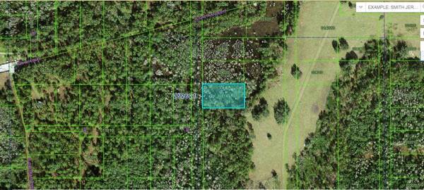 COMMONWEALTH AVE N, Polk City, FL 33868