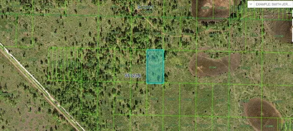 RIVER RANCH BLVD, Lake Wales, FL 33898