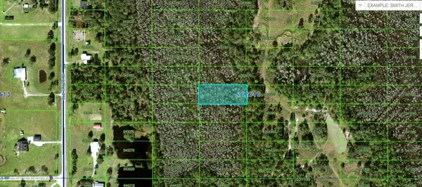 OLD GRADE RD, Polk City, FL 33868