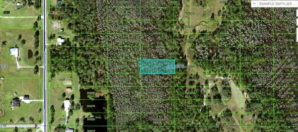 OLD GRADE RD, Polk City, FL 33868