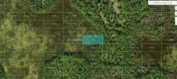 OLD GRADE RD, Polk City, FL 33868