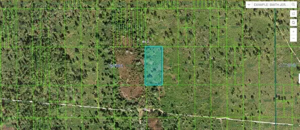 Lake Wales, FL 33898