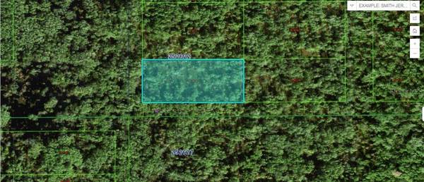 COMMONWEALTH AVE N, Polk City, FL 33868
