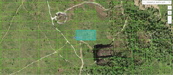 TIGER LAKE RD, Lake Wales, FL 33898