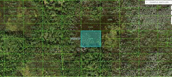 OLD GRADE RD, Polk City, FL 33868