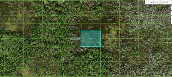 OLD GRADE RD, Polk City, FL 33868