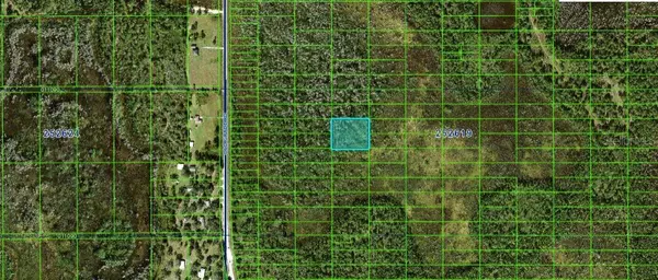 OLD GRADE RD, Polk City, FL 33868
