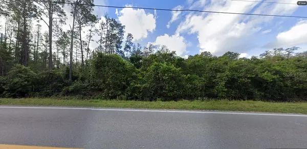 DEEN STILL RD RD, Polk City, FL 33868